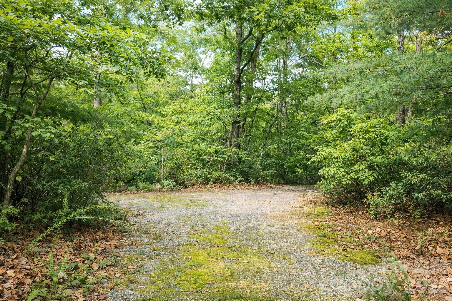 00 Lake Adger Parkway Mill Spring NC 28756