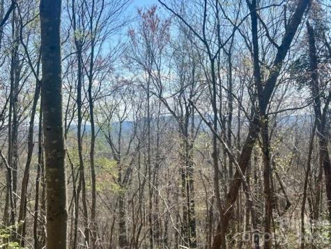 Tbd Connelly Springs Road Lenoir NC 28645