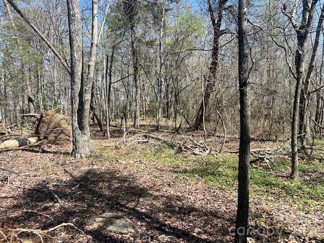Tbd Connelly Springs Road Lenoir NC 28645