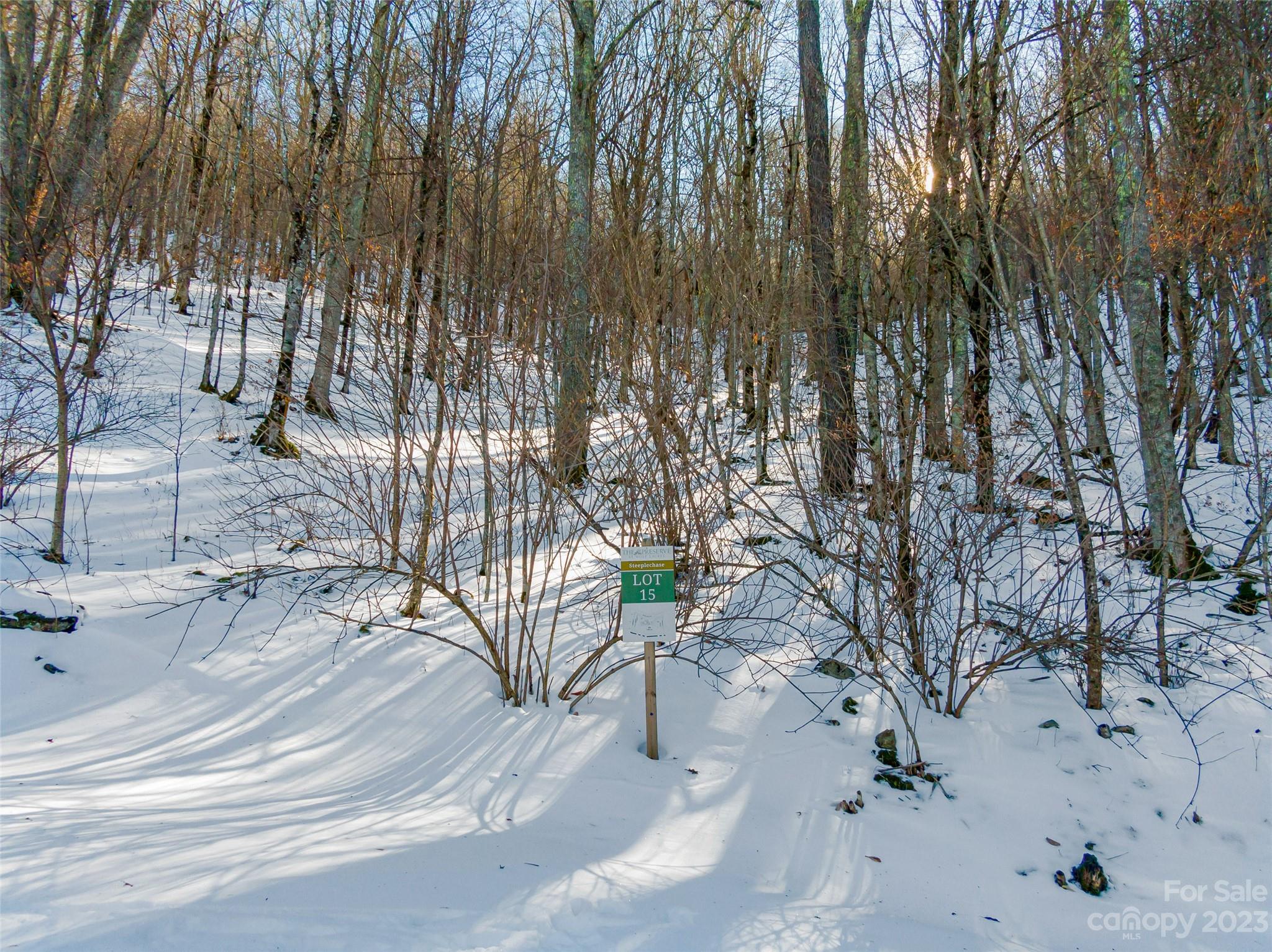 Lot 15 Mountain Gait Drive Mars Hill NC 28754