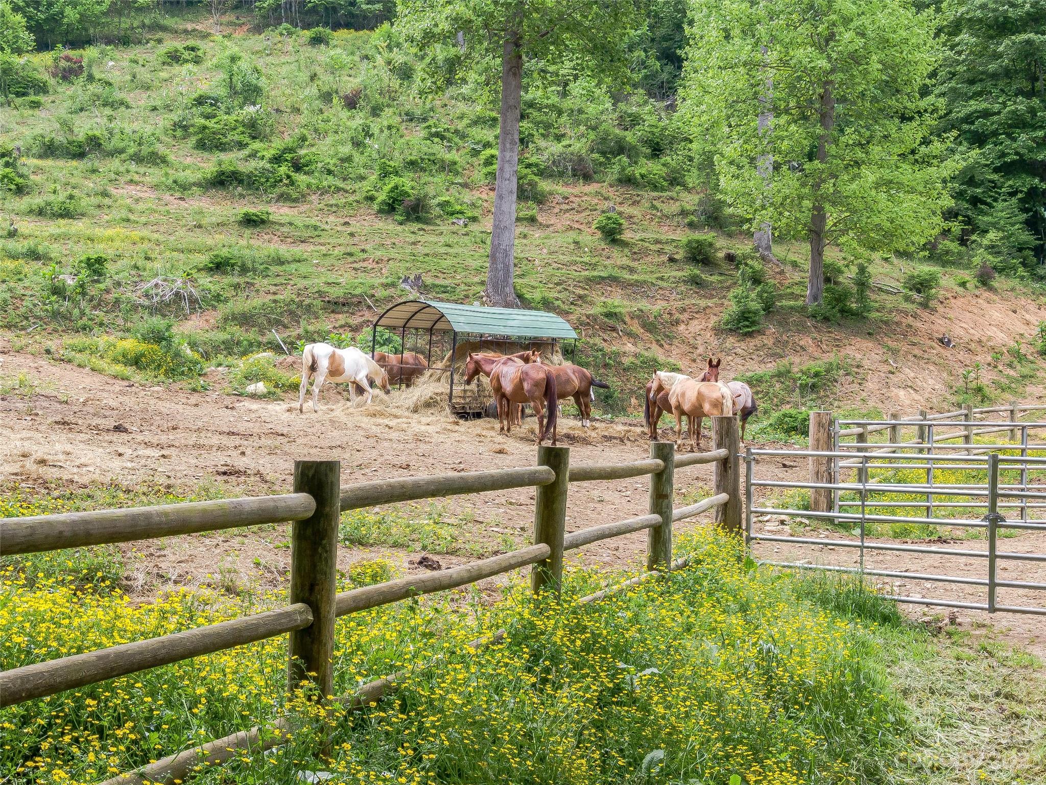 Lot 15 Mountain Gait Drive Mars Hill NC 28754