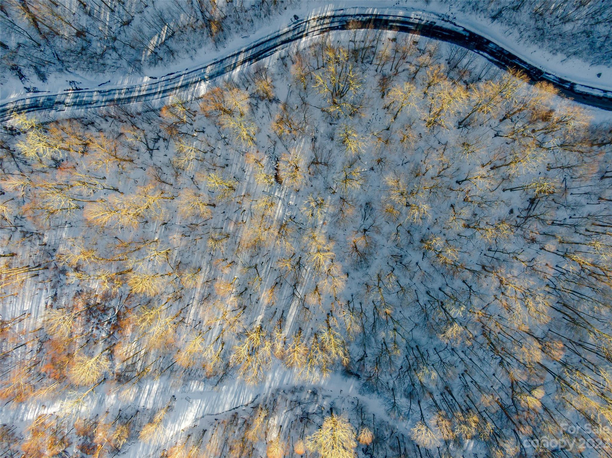 Lot 15 Mountain Gait Drive Mars Hill NC 28754