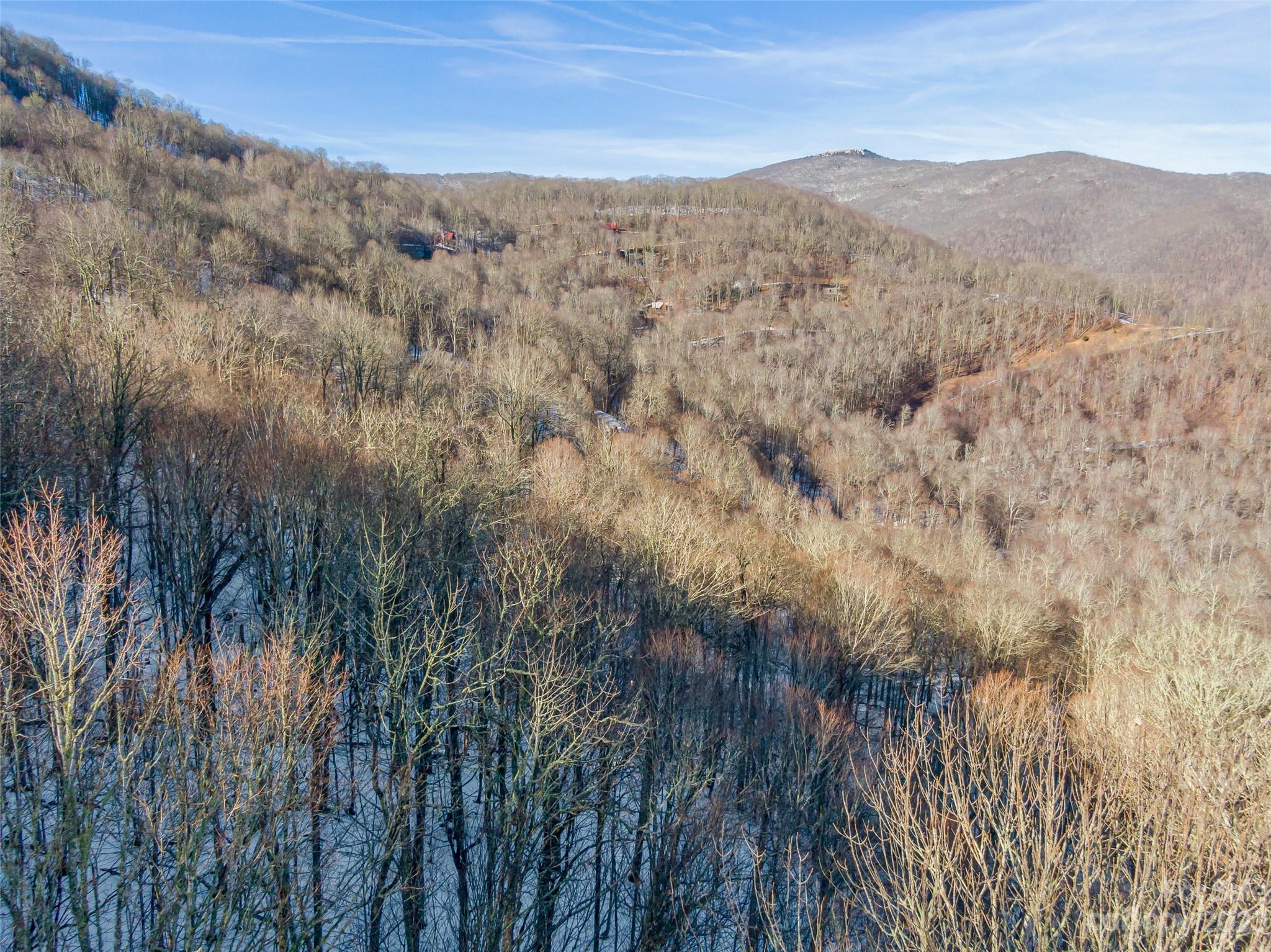 Lot 15 Mountain Gait Drive Mars Hill NC 28754