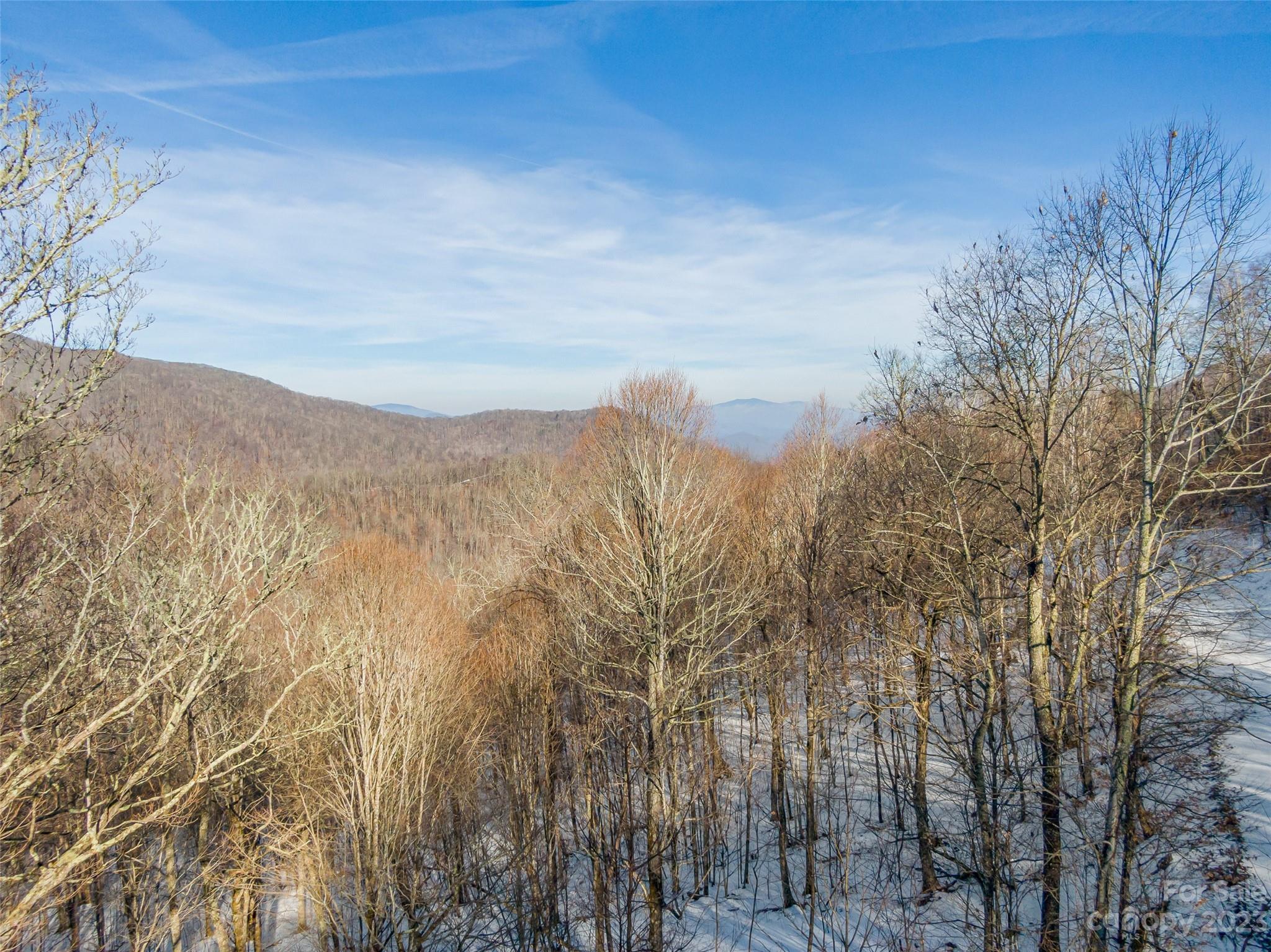 Lot 15 Mountain Gait Drive Mars Hill NC 28754