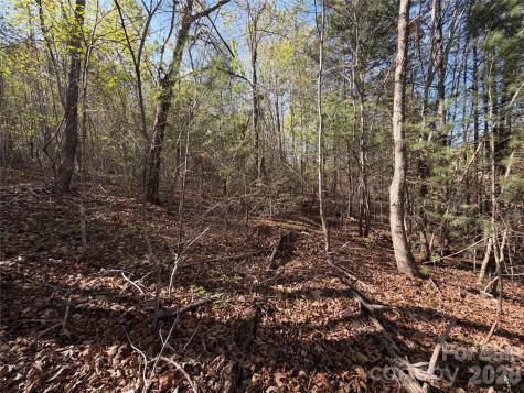0 Denton Avenue Morganton NC 28655