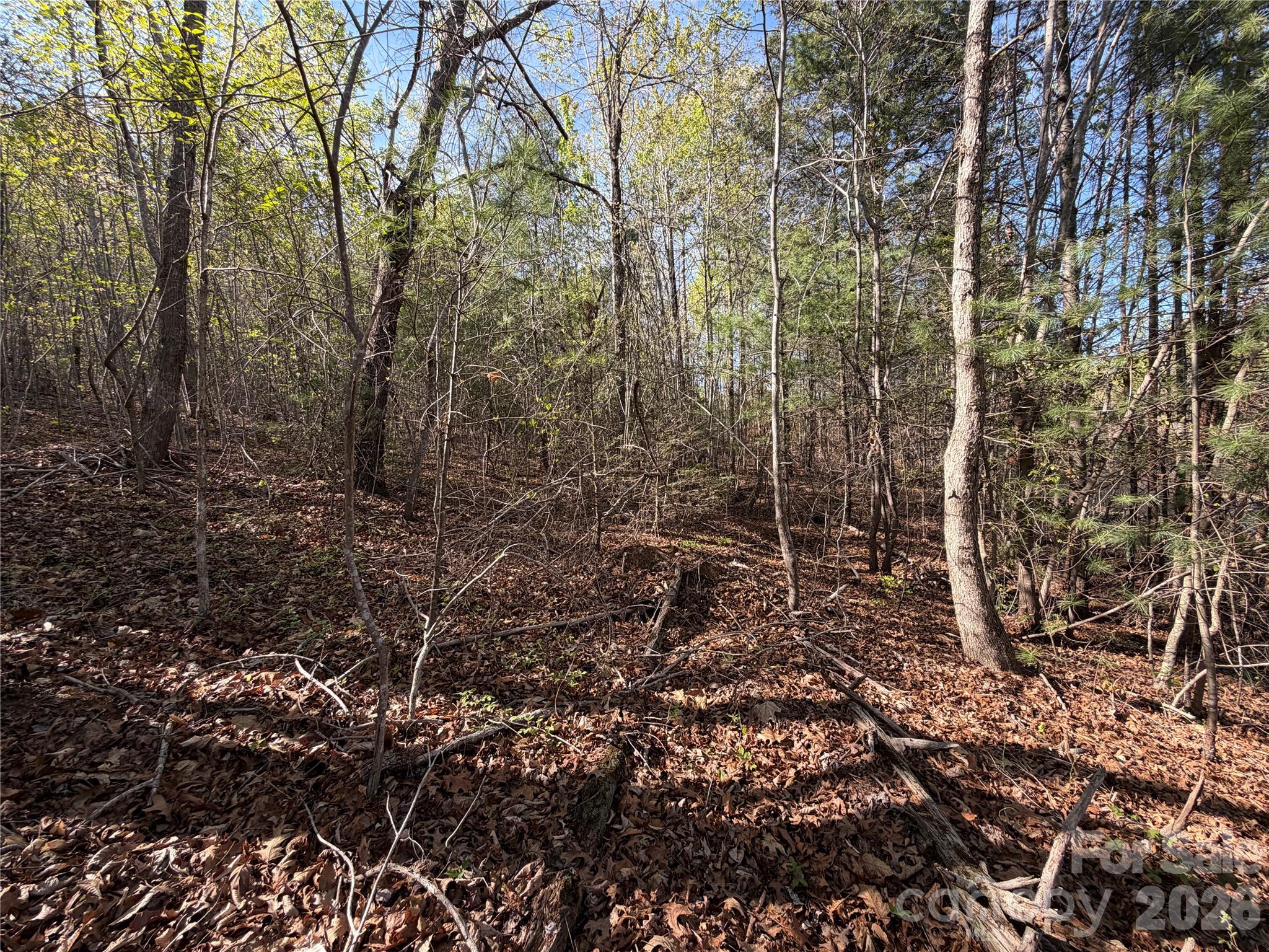 0 Running Cedar Trail Morganton NC 28655