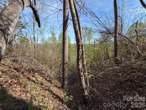 0 Denton Avenue Morganton NC 28655