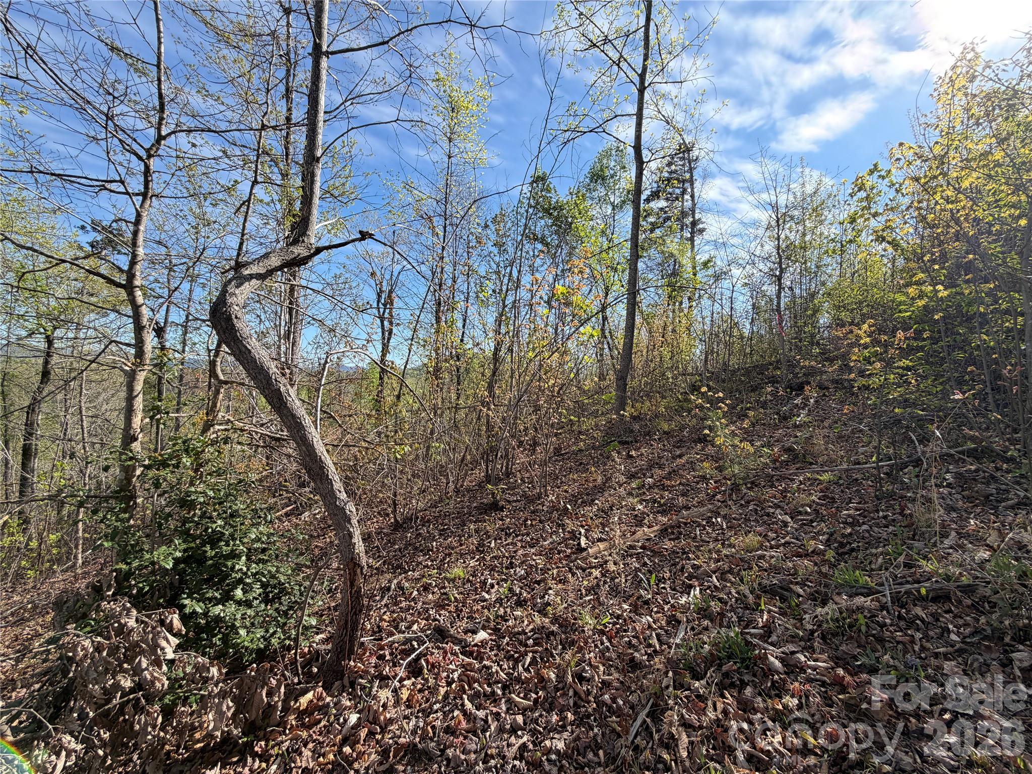 0 Running Cedar Trail Morganton NC 28655