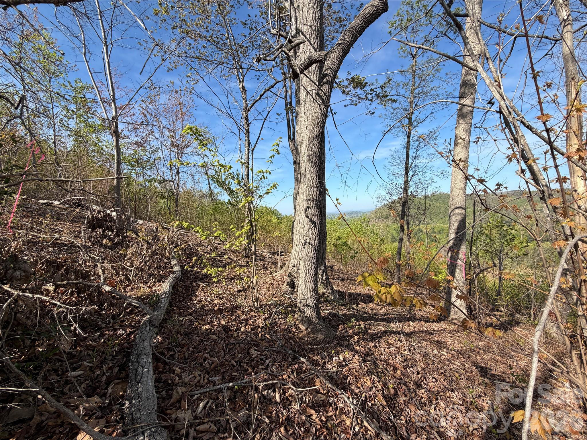 0 Running Cedar Trail Morganton NC 28655