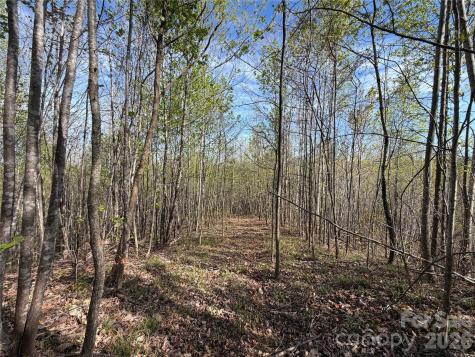 0 Denton Avenue Morganton NC 28655
