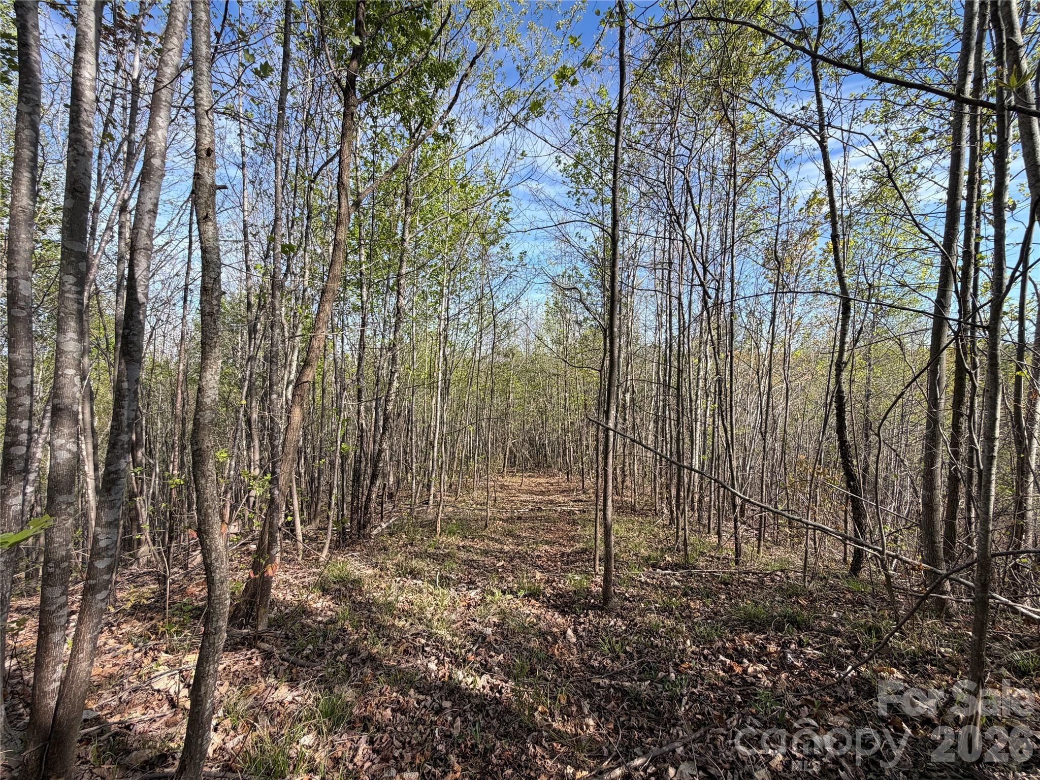 0 Running Cedar Trail Morganton NC 28655