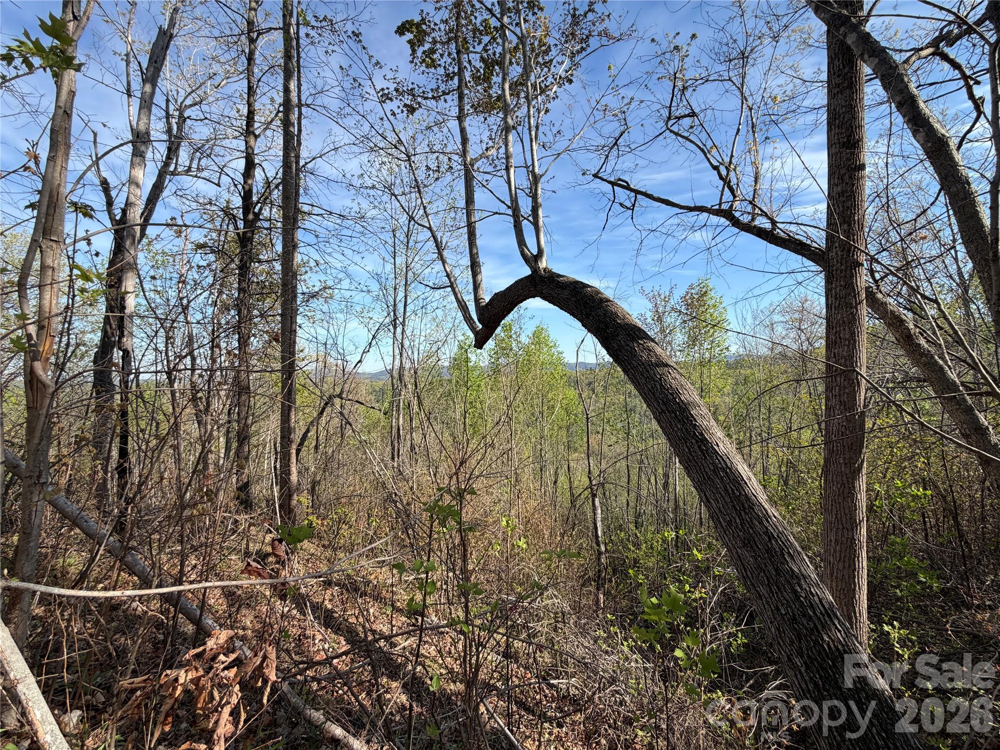 0 Running Cedar Trail Morganton NC 28655