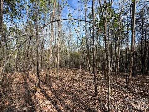 0 Denton Avenue Morganton NC 28655