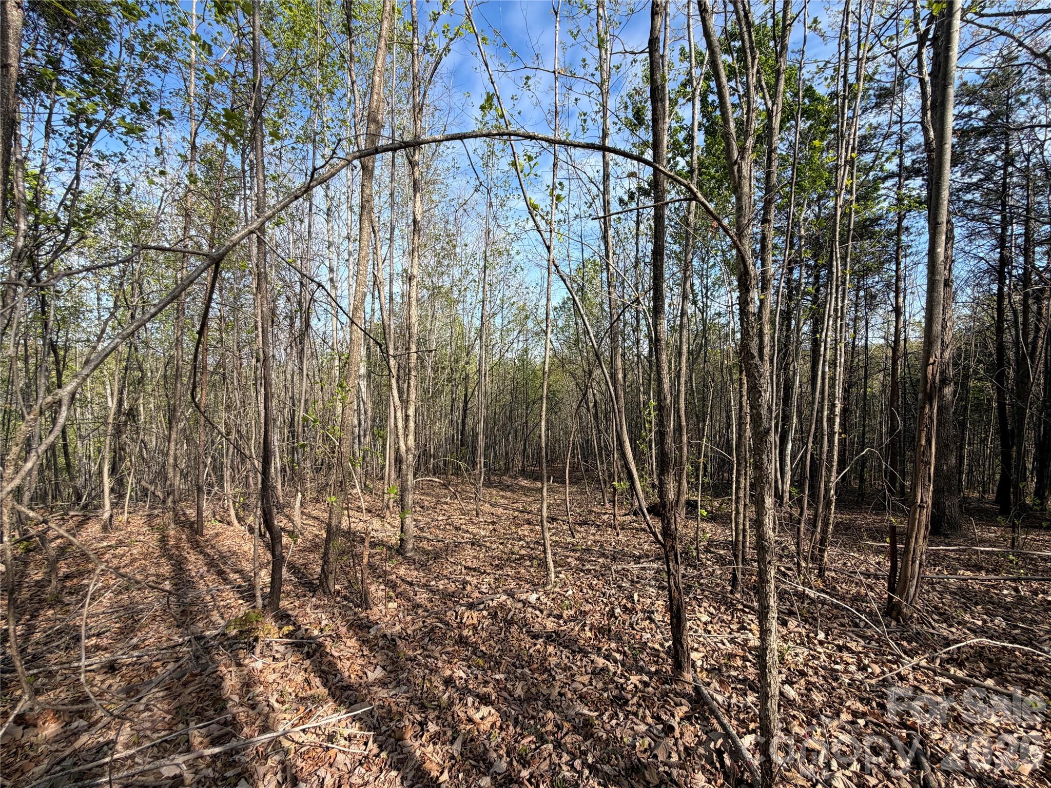 0 Running Cedar Trail Morganton NC 28655