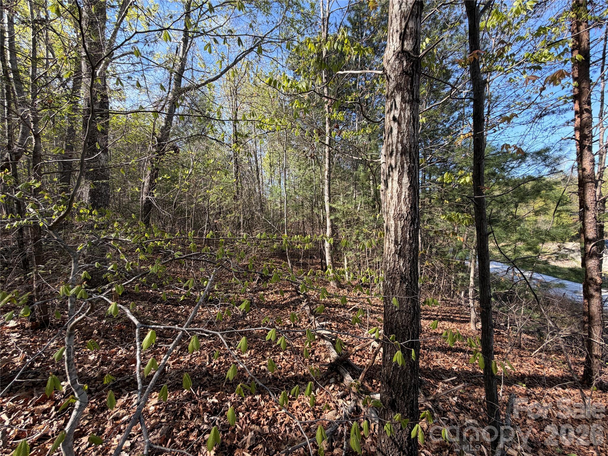 0 Running Cedar Trail Morganton NC 28655