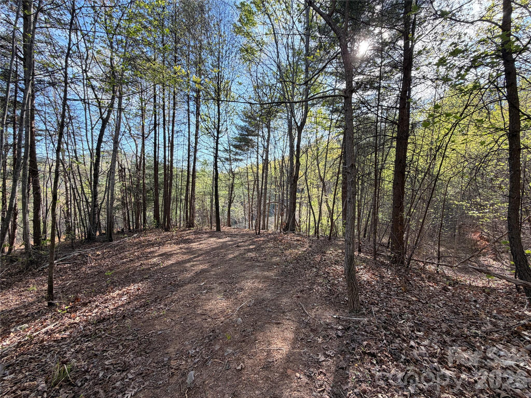 0 Running Cedar Trail Morganton NC 28655
