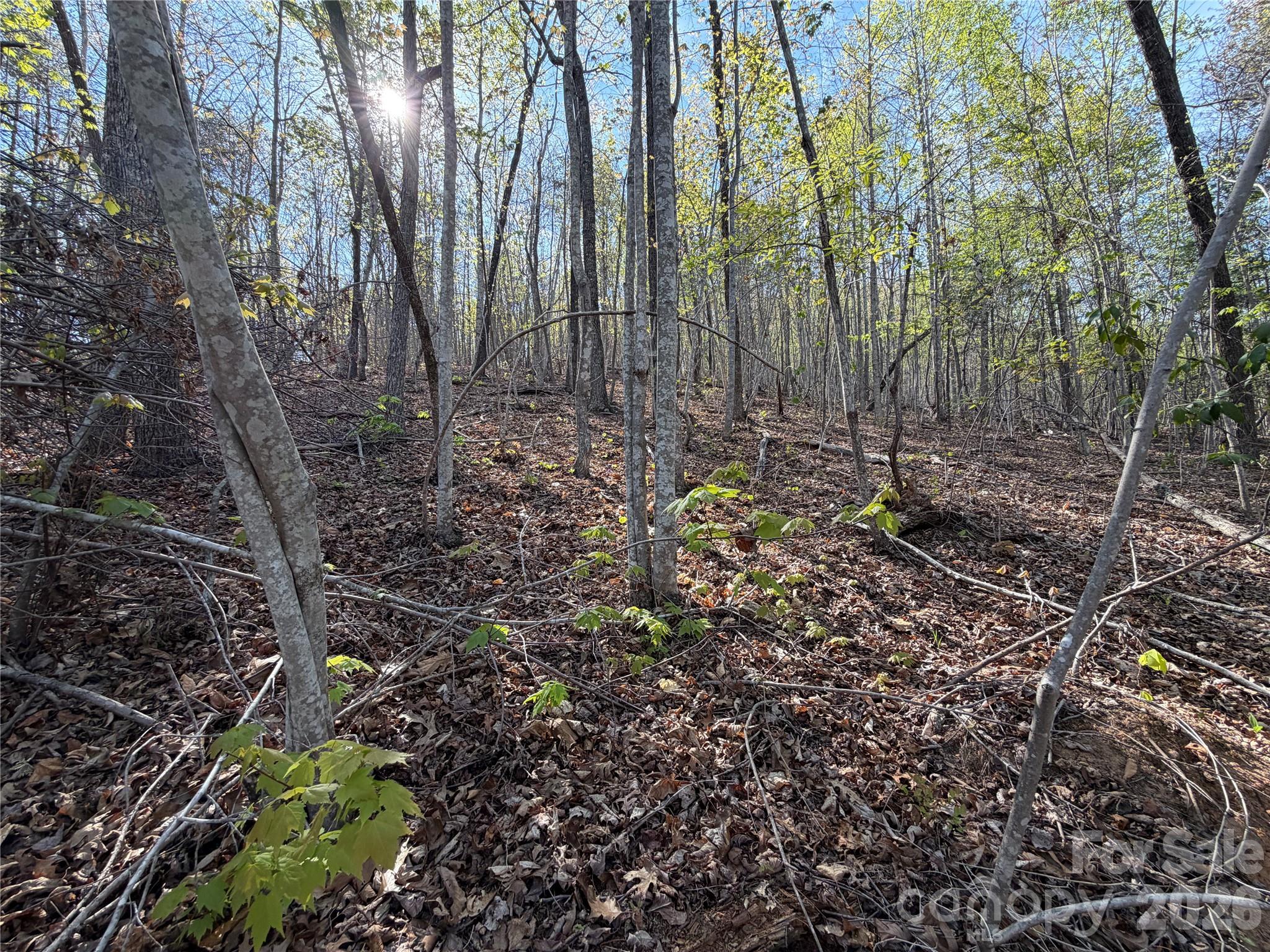 0 Running Cedar Trail Morganton NC 28655