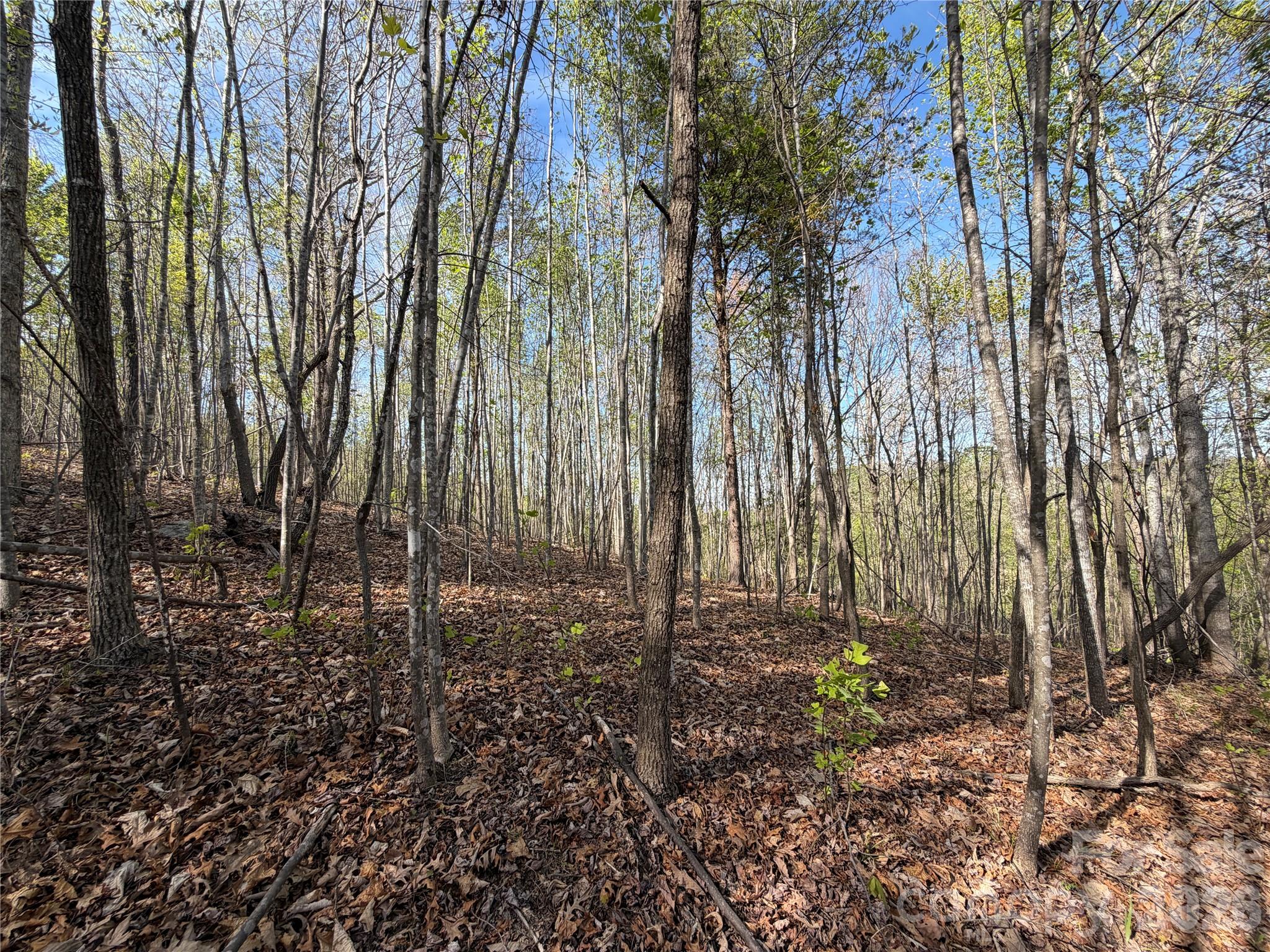 0 Running Cedar Trail Morganton NC 28655