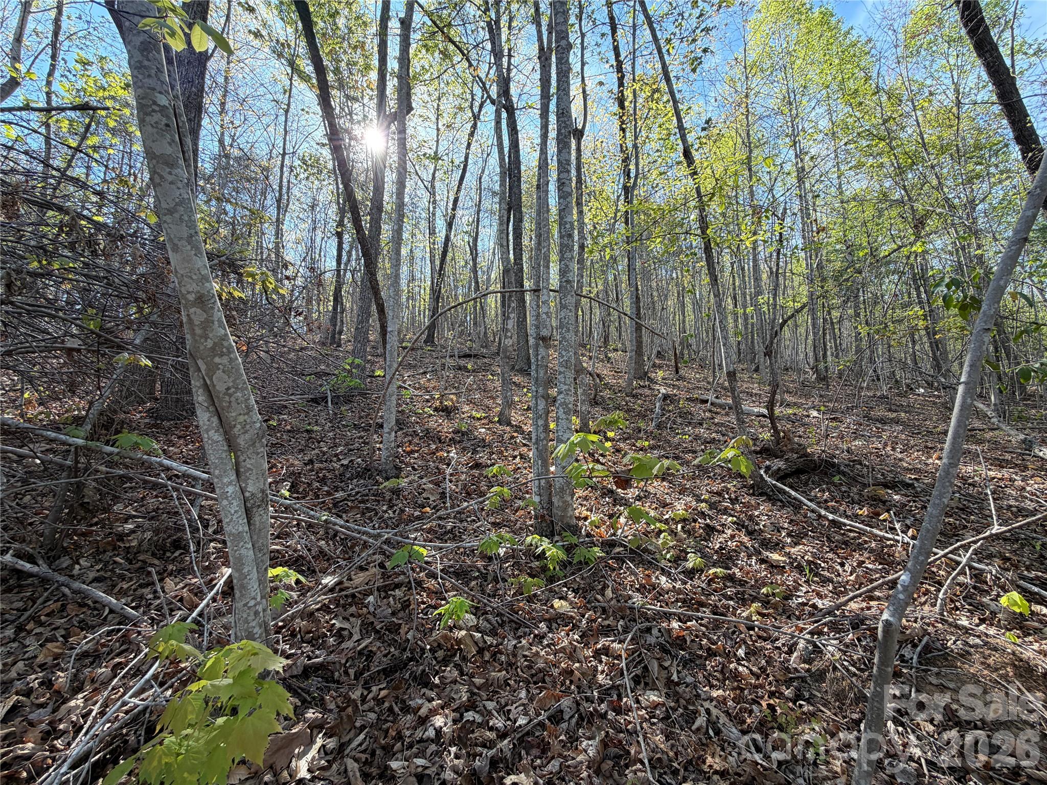 0 Running Cedar Trail Morganton NC 28655