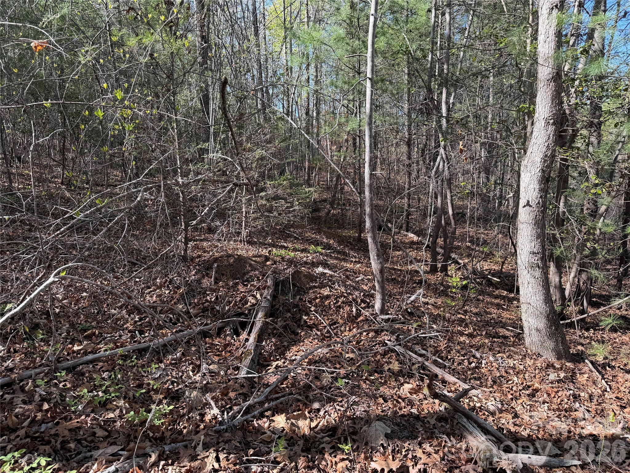 0 Running Cedar Trail Morganton NC 28655