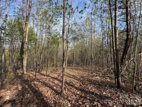 0 Denton Avenue Morganton NC 28655