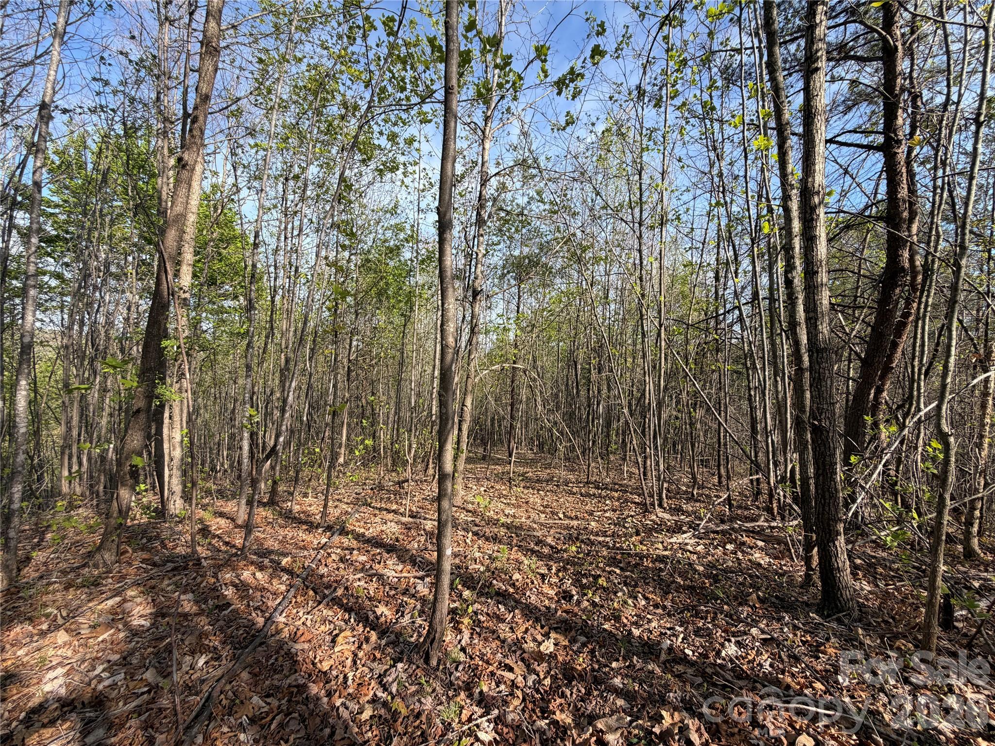0 Running Cedar Trail Morganton NC 28655