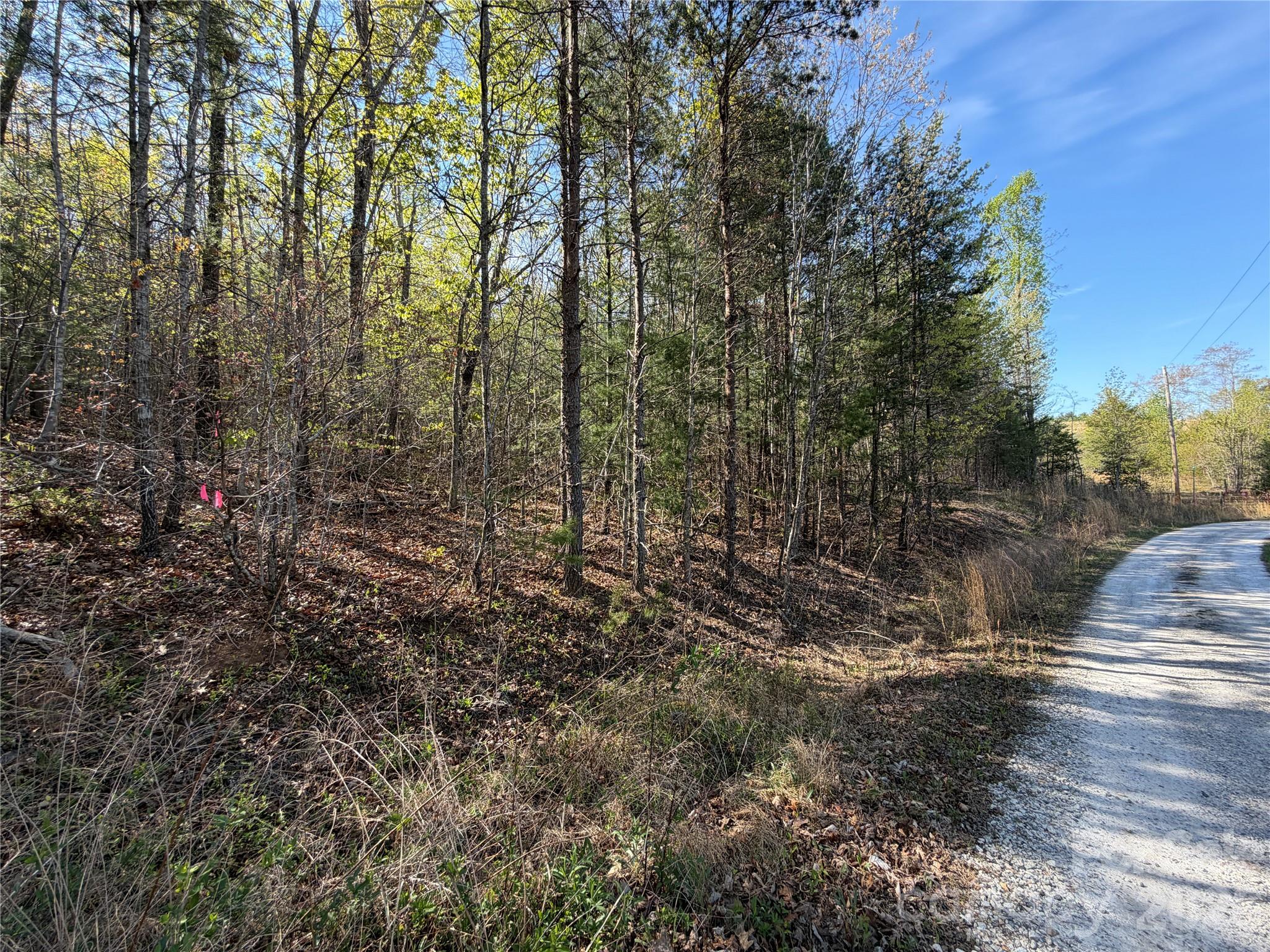 0 Running Cedar Trail Morganton NC 28655