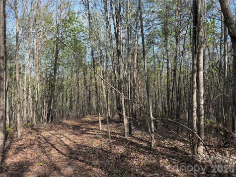 0 Denton Avenue Morganton NC 28655