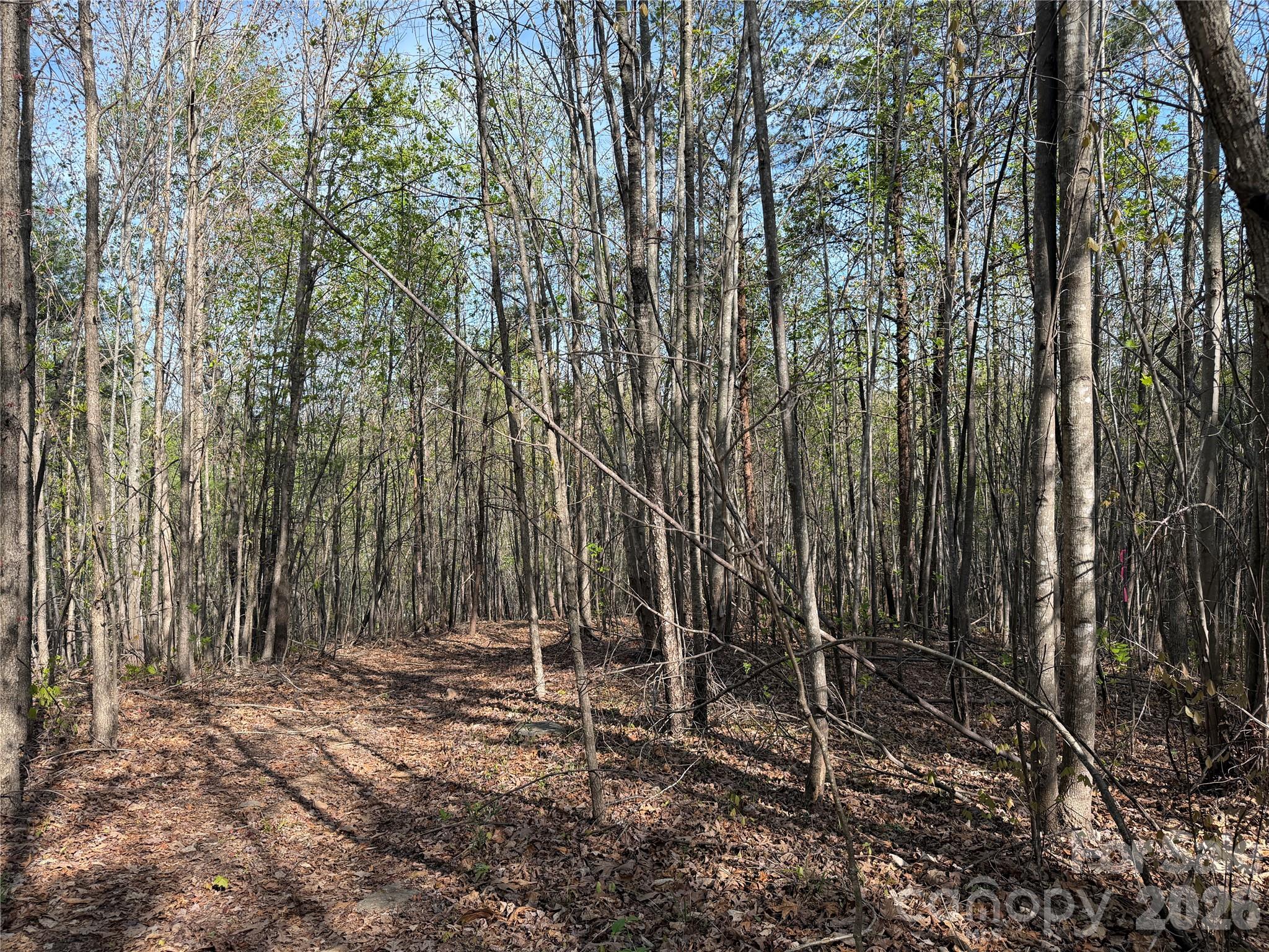 0 Running Cedar Trail Morganton NC 28655