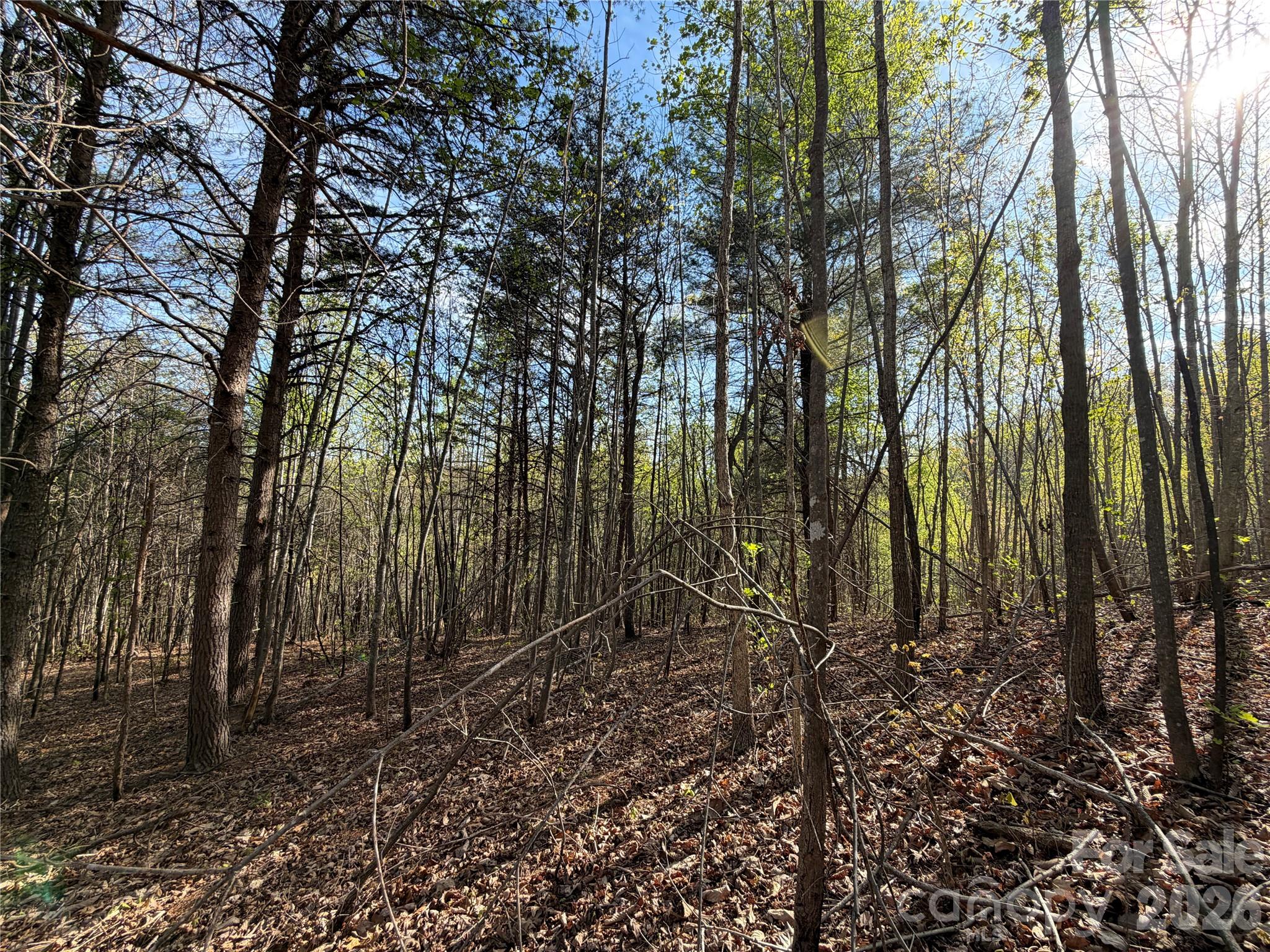 0 Running Cedar Trail Morganton NC 28655