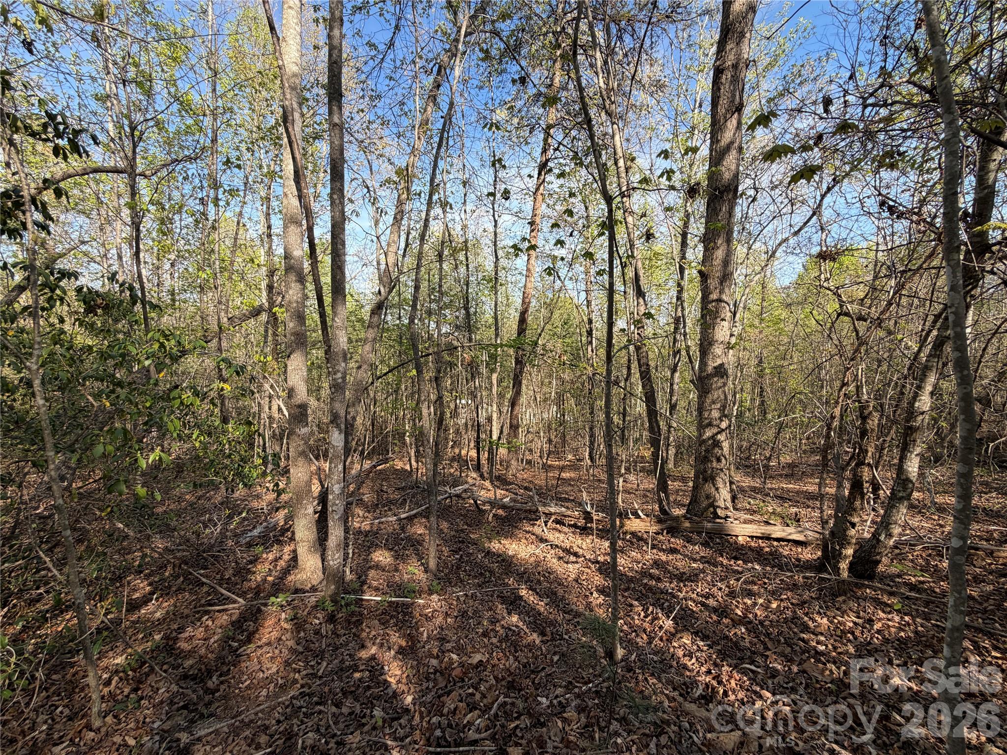 0 Running Cedar Trail Morganton NC 28655