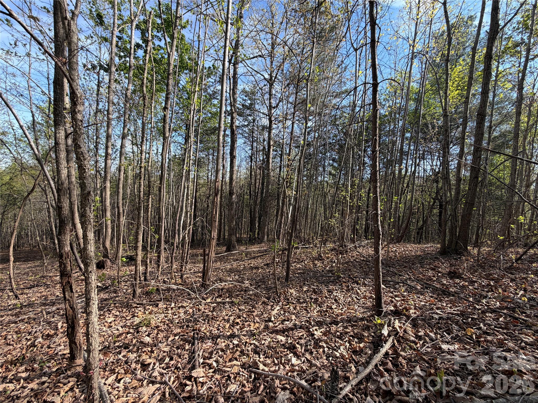 0 Running Cedar Trail Morganton NC 28655