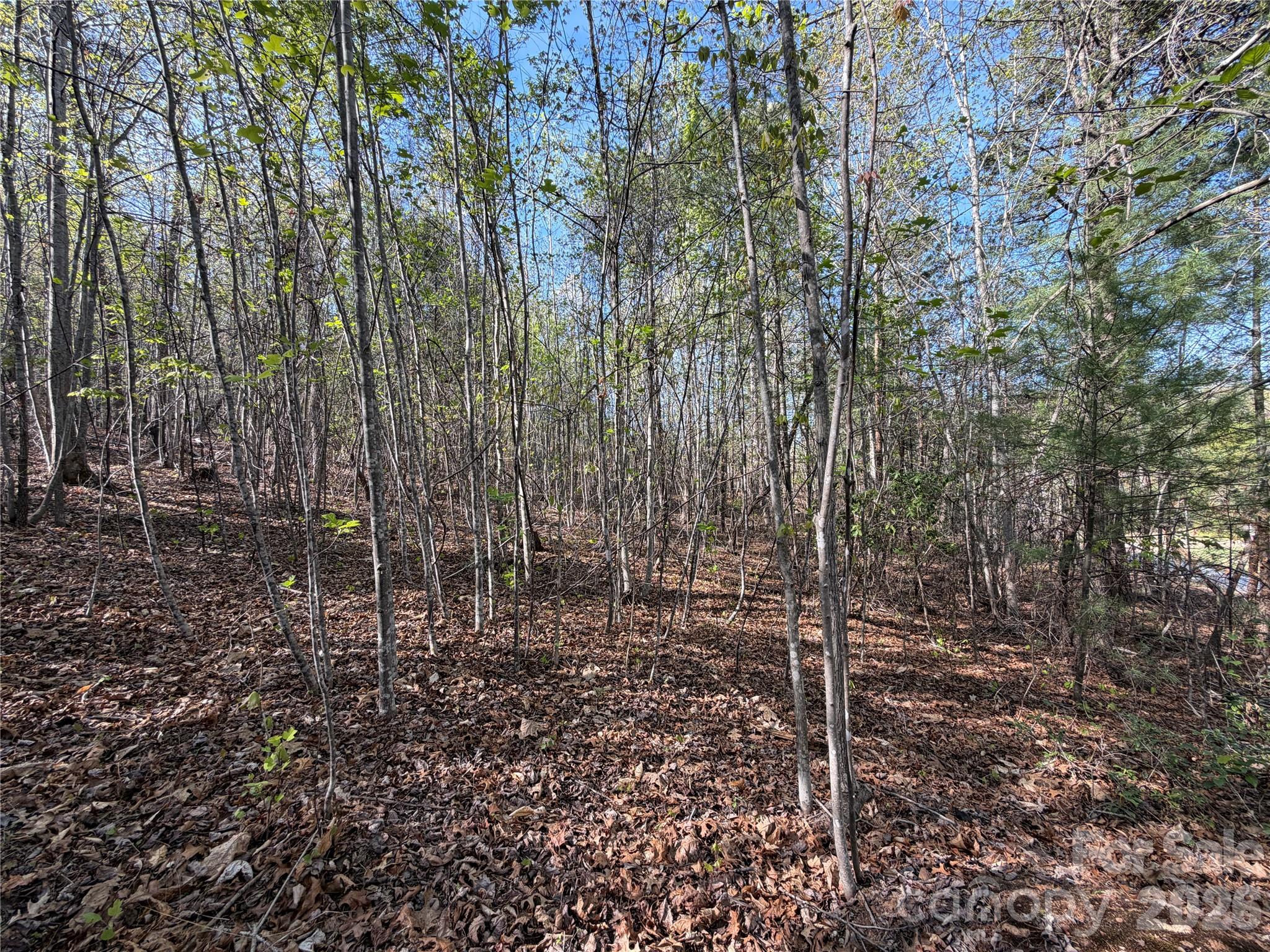 0 Running Cedar Trail Morganton NC 28655