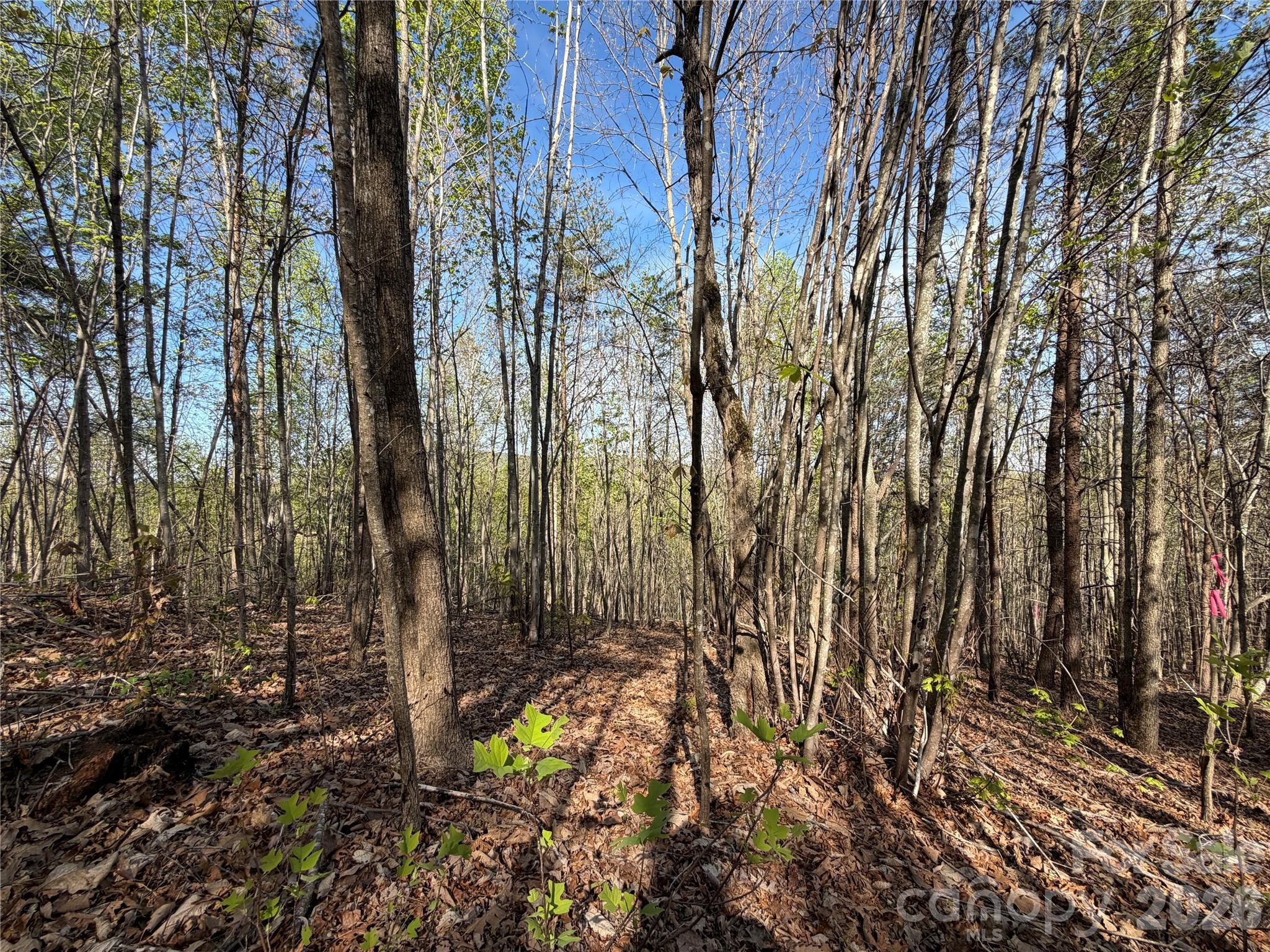 0 Running Cedar Trail Morganton NC 28655