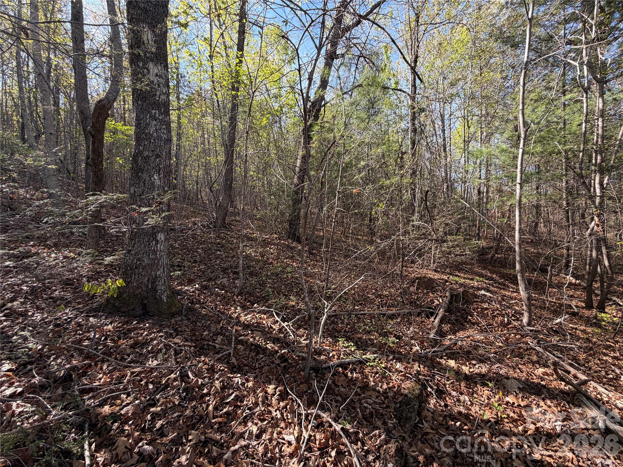 0 Running Cedar Trail Morganton NC 28655