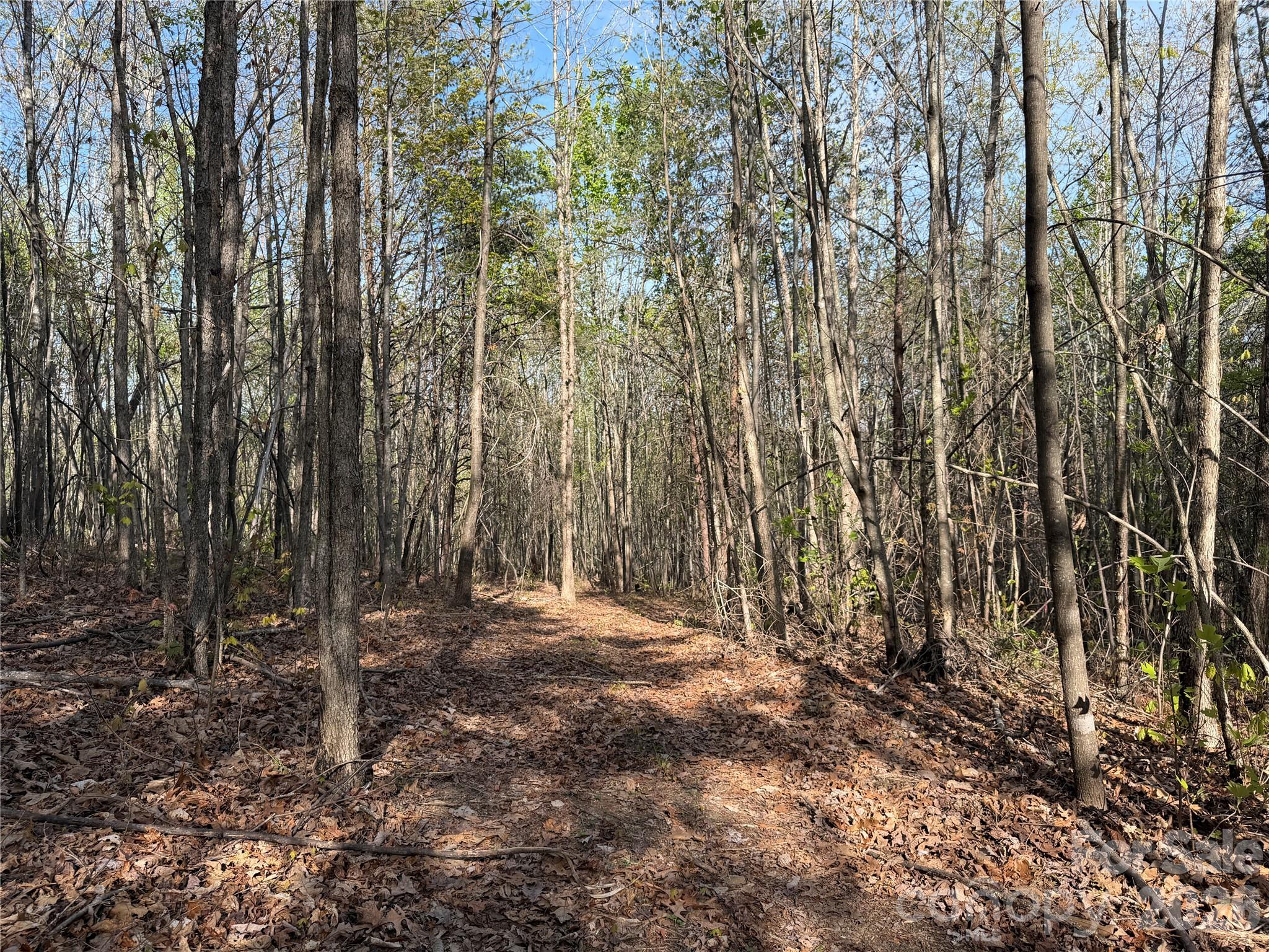 0 Running Cedar Trail Morganton NC 28655