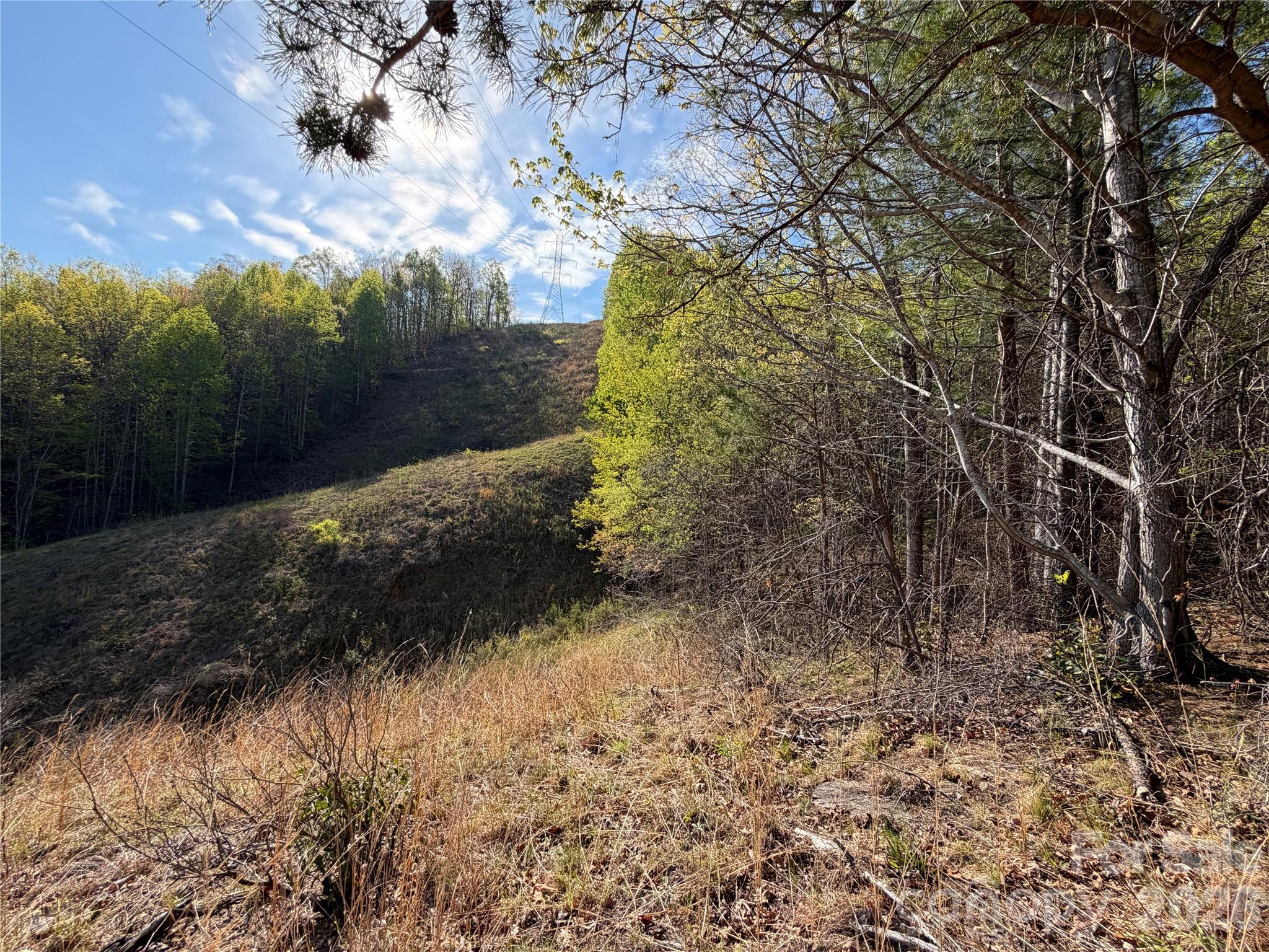 0 Running Cedar Trail Morganton NC 28655