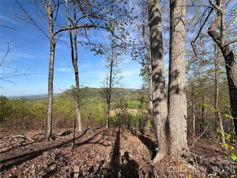 0 Denton Avenue Morganton NC 28655