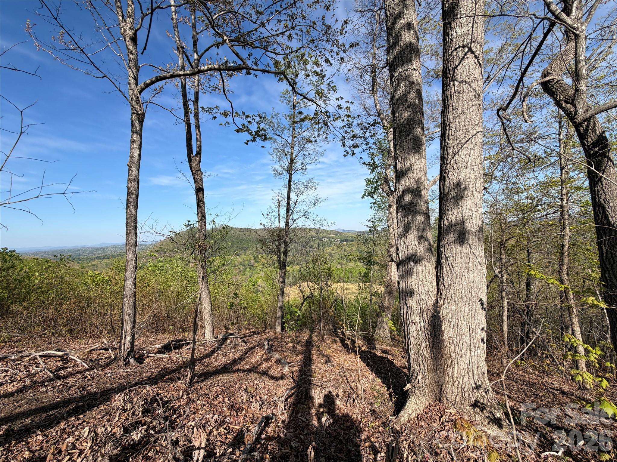 0 Running Cedar Trail Morganton NC 28655