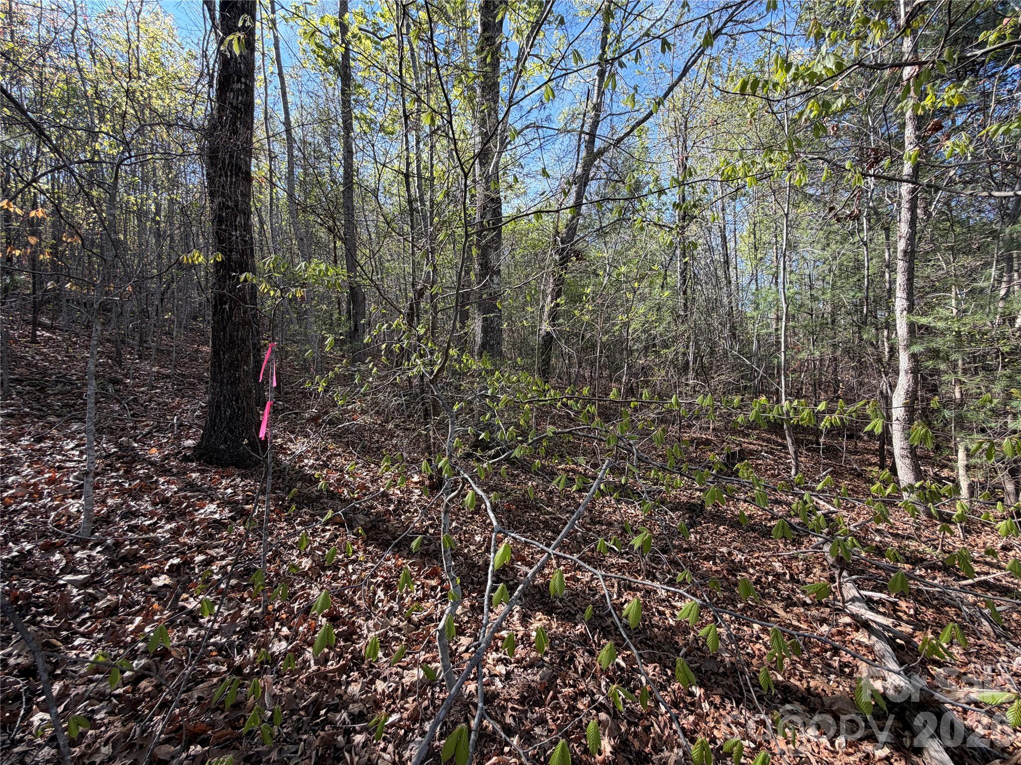 0 Running Cedar Trail Morganton NC 28655