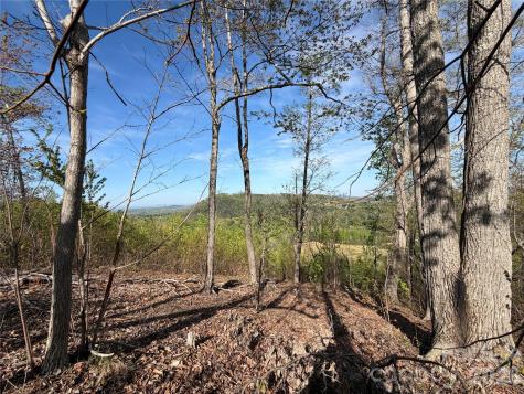 0 Denton Avenue Morganton NC 28655