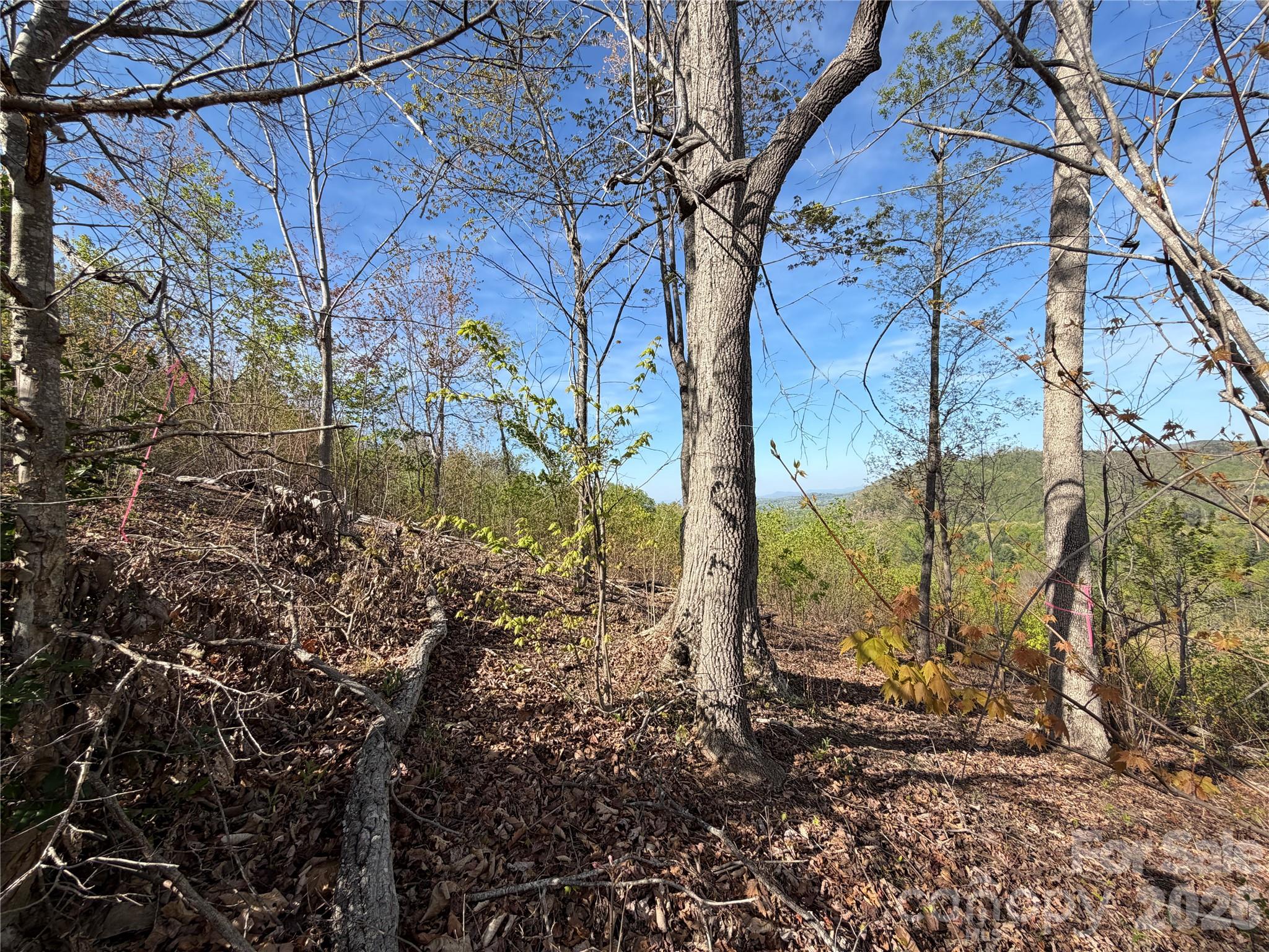 0 Running Cedar Trail Morganton NC 28655