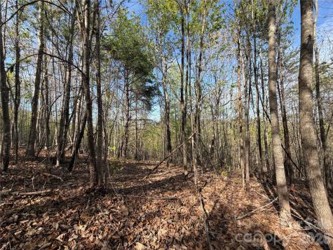 0 Denton Avenue Morganton NC 28655
