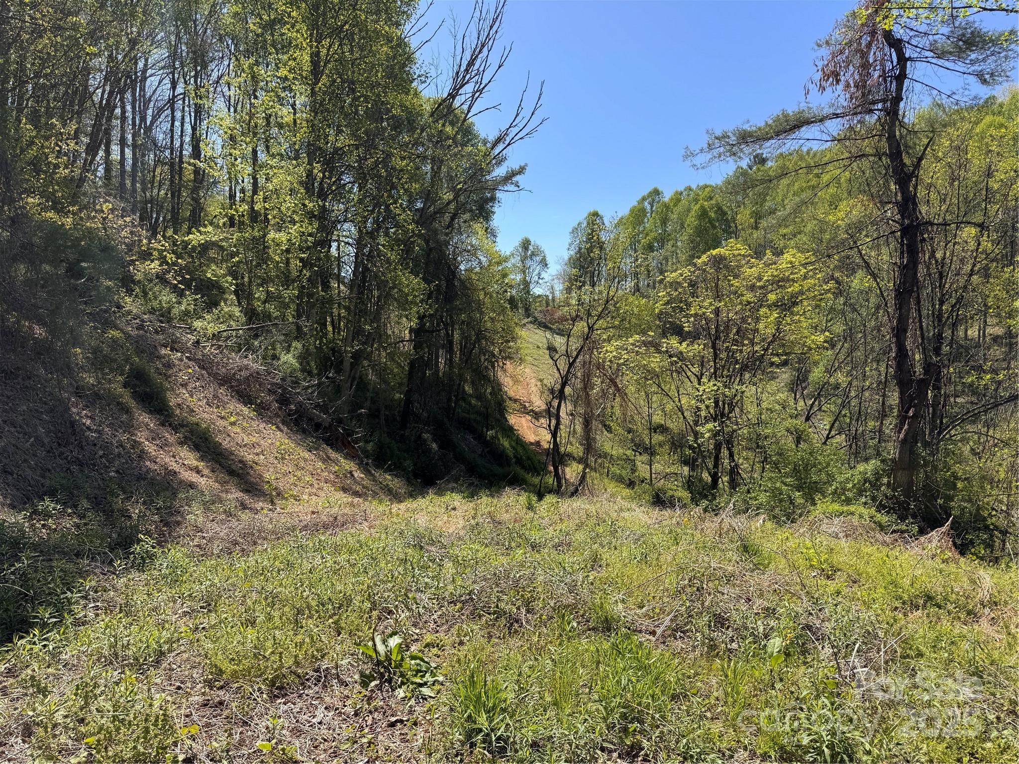 000 Relief Extension Green Mountain NC 28740