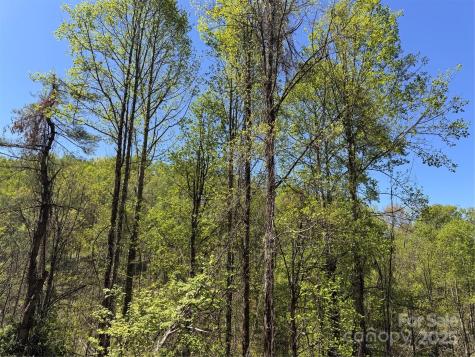 000 Relief Extension Green Mountain NC 28740
