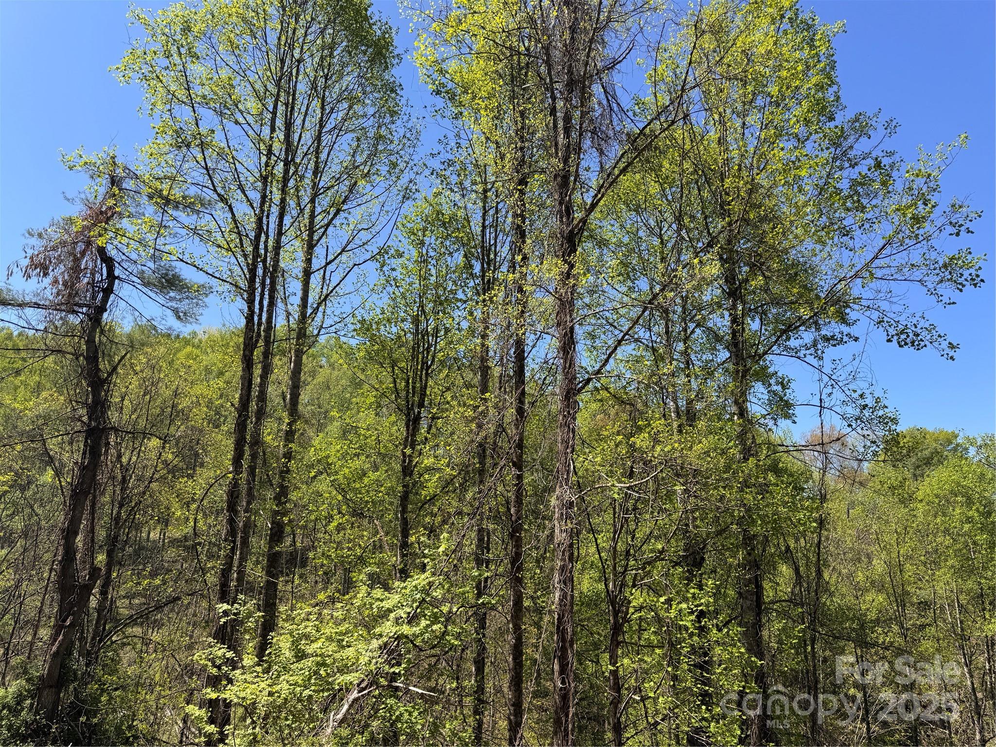 000 Relief Extension Green Mountain NC 28740