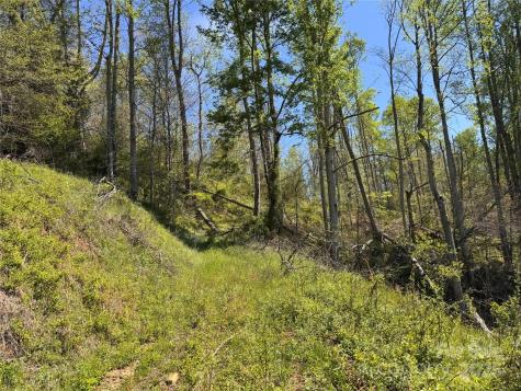 000 Relief Extension Green Mountain NC 28740