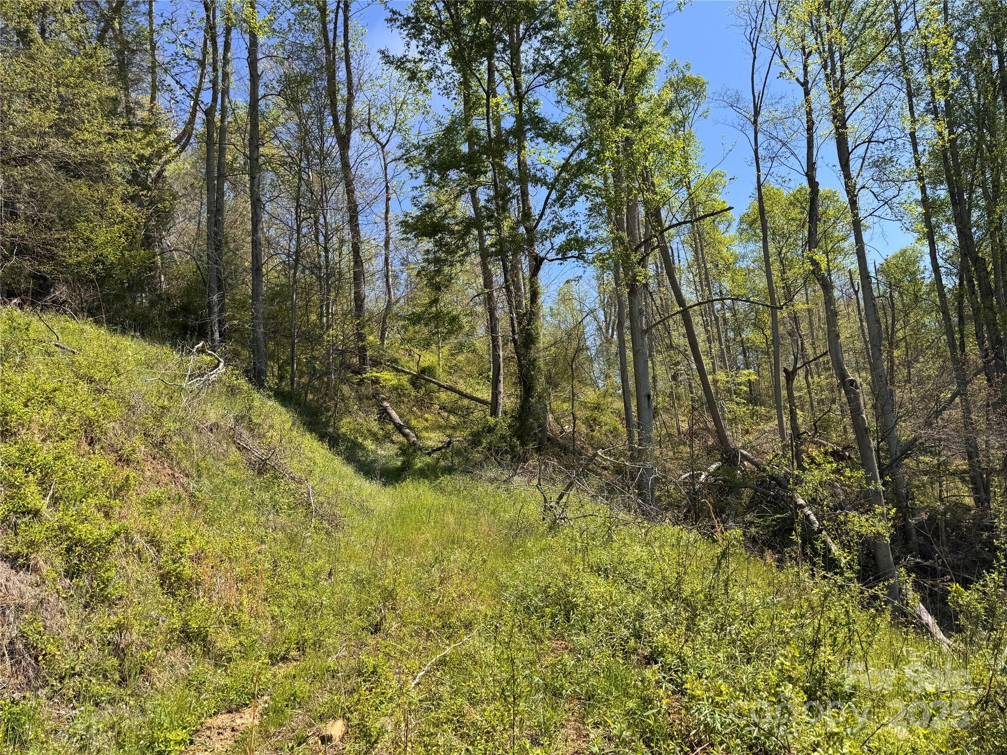 000 Relief Extension Green Mountain NC 28740