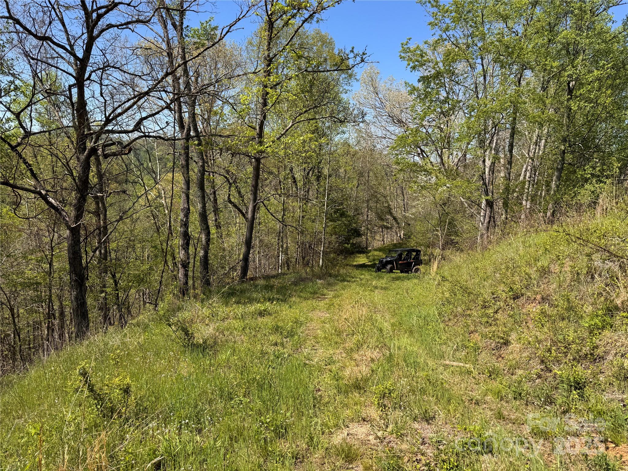 000 Relief Extension Green Mountain NC 28740