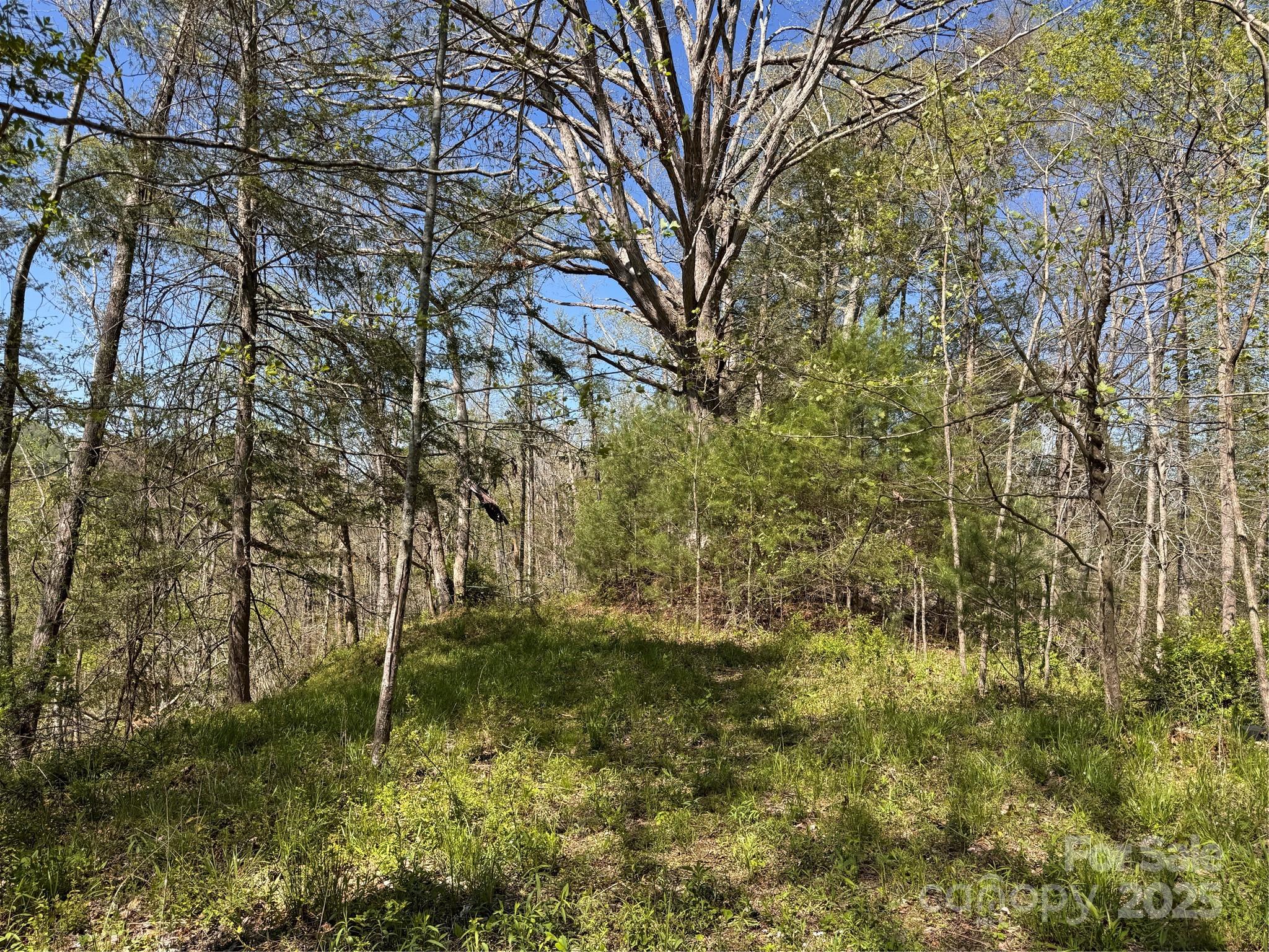 000 Relief Extension Green Mountain NC 28740